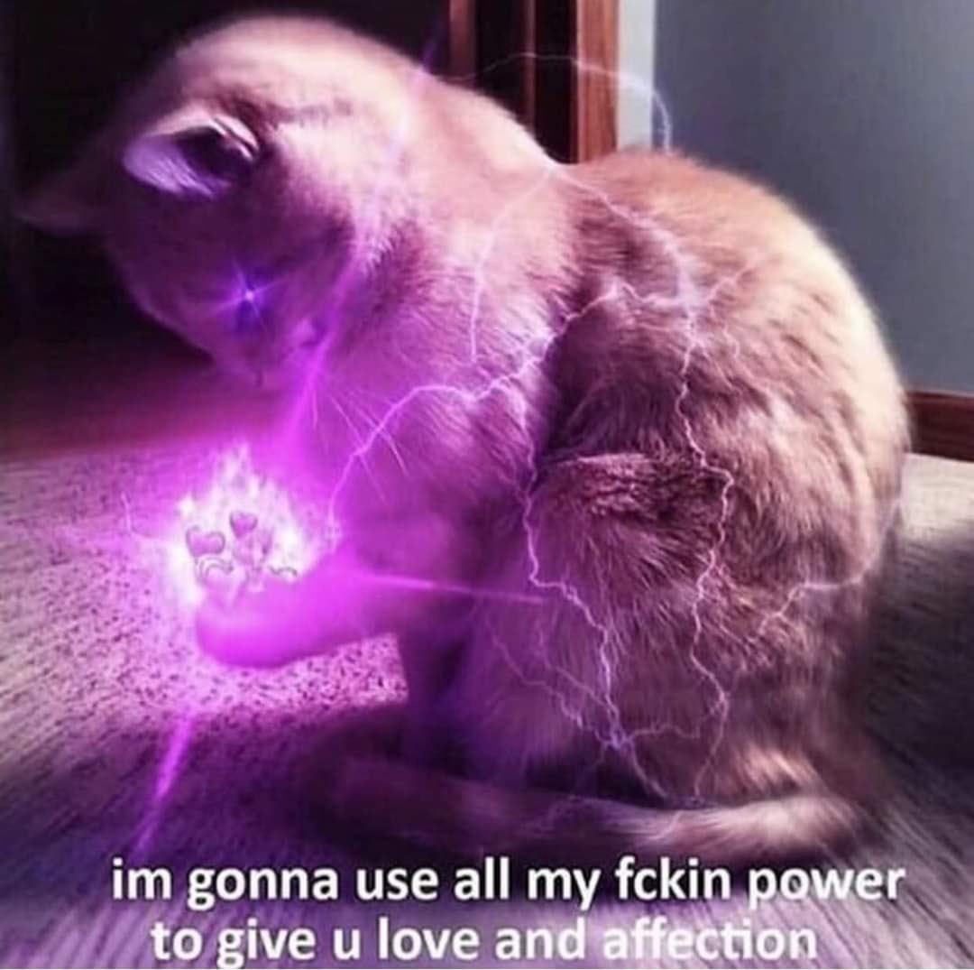 WholesomeMemes tweet media