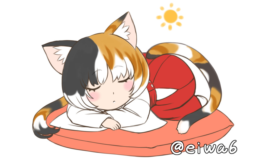 #世界猫の日
遅れたけどね🐱 