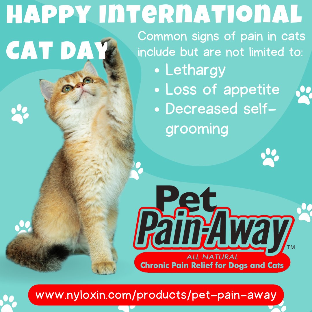 nyloxin's tweet photo. Celebrate this #InternationalCatDay with 10% off Pet Pain-Away. Enter promo code "CatDay2022" between now &amp; midnight tomorrow when purchasing through our site or this link will automatically input the sale: https://t.co/xXaAC360b8 https://t.co/wOuw4vfXXf