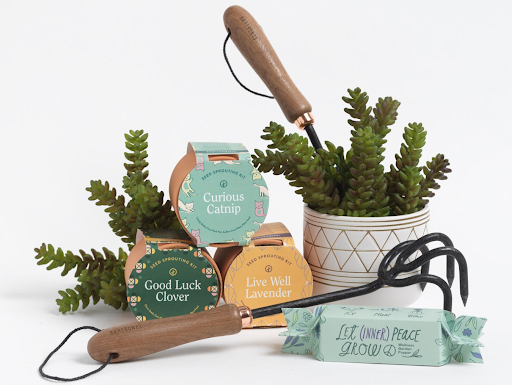 Just add water and watch them grow. What better than an assortment from Modern Sprout Housewarming gifts &amp; just a little thank you for being you. Who doesn’t need a little greenery
#aldea #aldeahomeandbaby #aldeashopping #la #losangeles #sf #culvercity #sanfrancisco #shoplocal