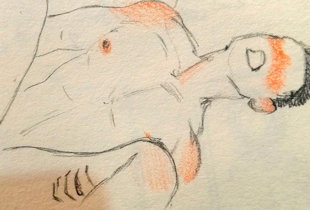 SignorinaPerro's tweet photo. Hi peoplee
How was your weekend??
.
#nsfw
#nsfwart
#nsfwsketch
#pencilsketch https://t.co/57t83Fvjqd