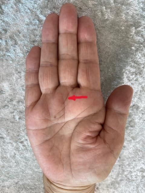 マスカケ Twitter Search Twitter