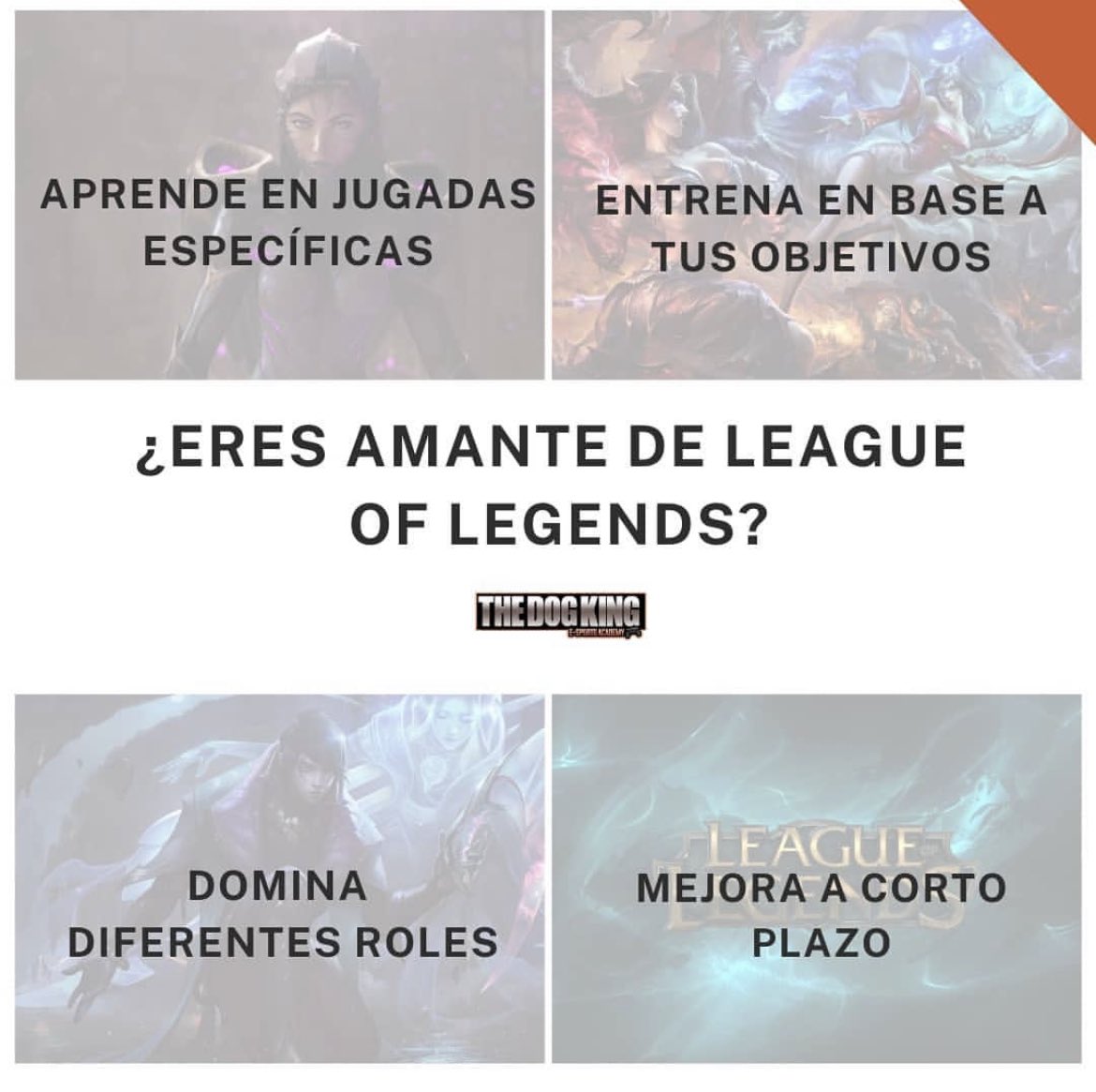 😃 ¡¡¡Hola!!!

🧐 ¿Eres amante de #leagueoflegends? 

😋 No te pierdas nuestras formaciones.

😏 Jugadas específicas.
😎 Jugadas en base a objetivos.