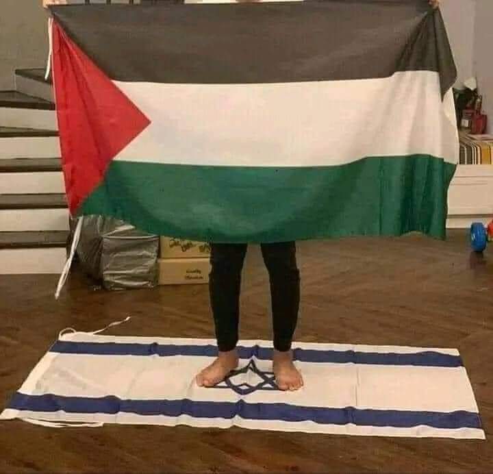 elshaboryyyy's tweet photo. Status as we speak 🇵🇸✌️

#Gaza_resist 
#غزة_تنتصر https://t.co/1AoHlOOSDZ