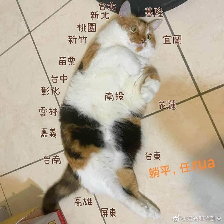 Brucennzh's tweet photo. @Taiwan886ljm @iingwen @ComradeRalph We also love Taiwan province https://t.co/3ovFl1mHgB