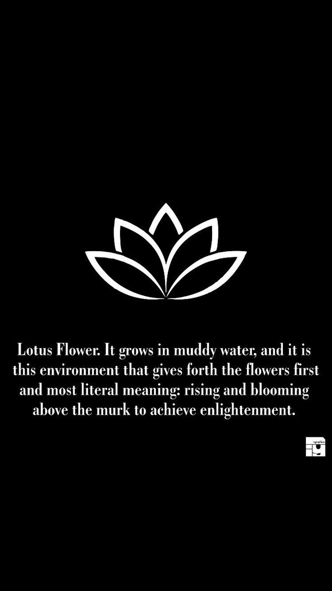 NeeRayNee's tweet image. #bloom #lotus #growth 🪷