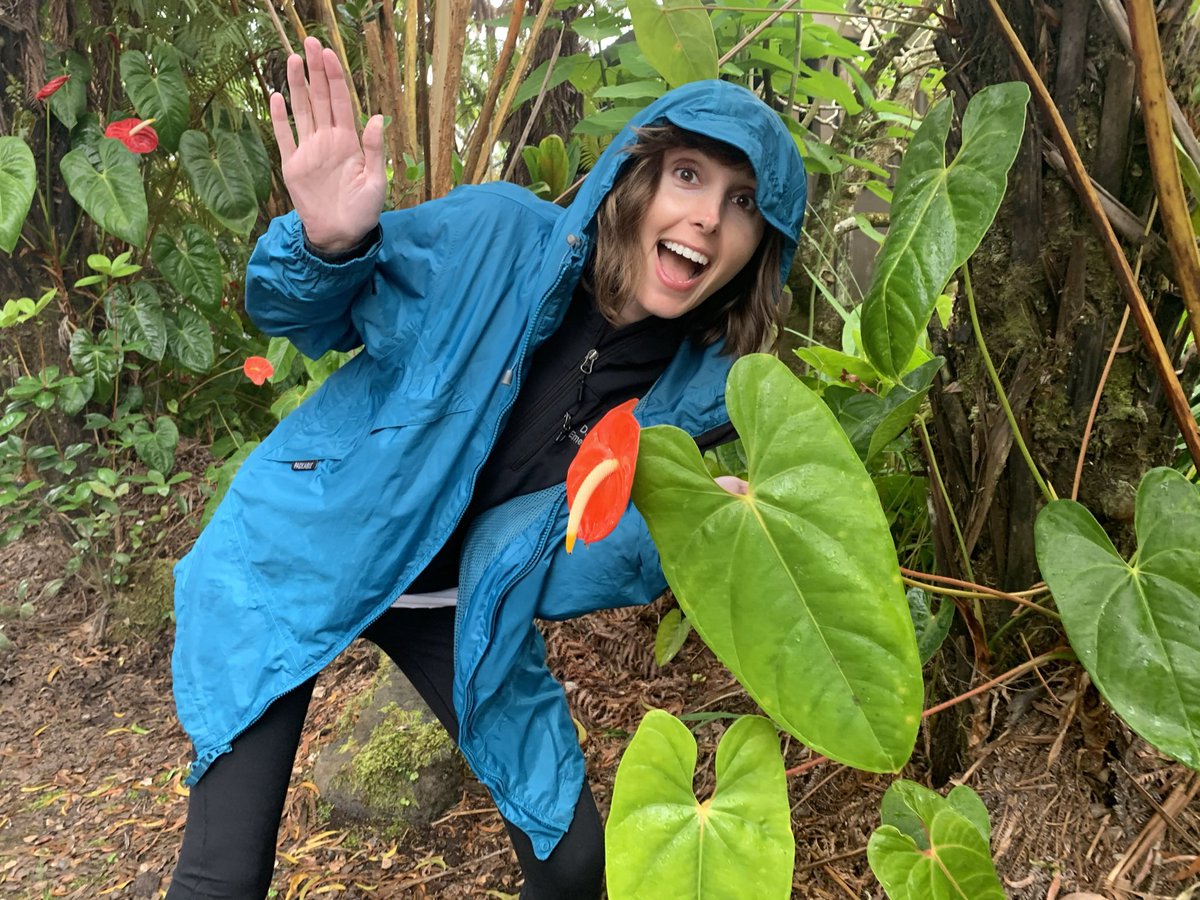 ToxyDoc's tweet photo. Hello! Somehow this #covidgrad is already applying to fellowship 🤩 Ready to be your friendly, neighborhood venom-enthusiast 🐍🕷Wish me luck! 👩🏻‍⚕️(and tell me why I shouldn’t  eat this plant 😁) #medtwitter #Match2023 #Toxicology #MedTox https://t.co/C0JYEhPTzX
