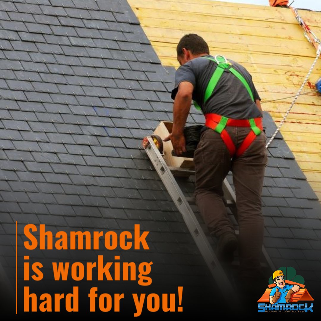 Shamrock Roofer tweet media