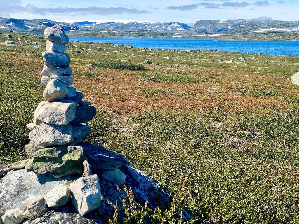 Sreblov's tweet photo. Vandaag de #Touristveg 7 dwars door #hardangervidda gereden. Four seasons in one day werd twelve landscapes in 70 km #sreblovontour #visitnorway #naturephotography #natuurlijknoorwegen #norge #noorwegen https://t.co/JPnSKk9Mf0 https://t.co/HCSYhZy6RX