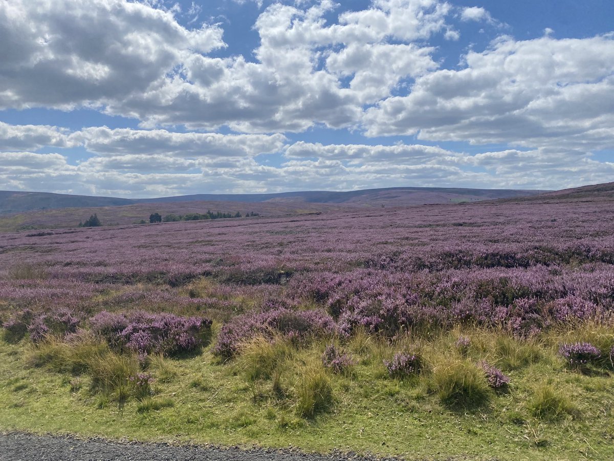 Looking fabulous today