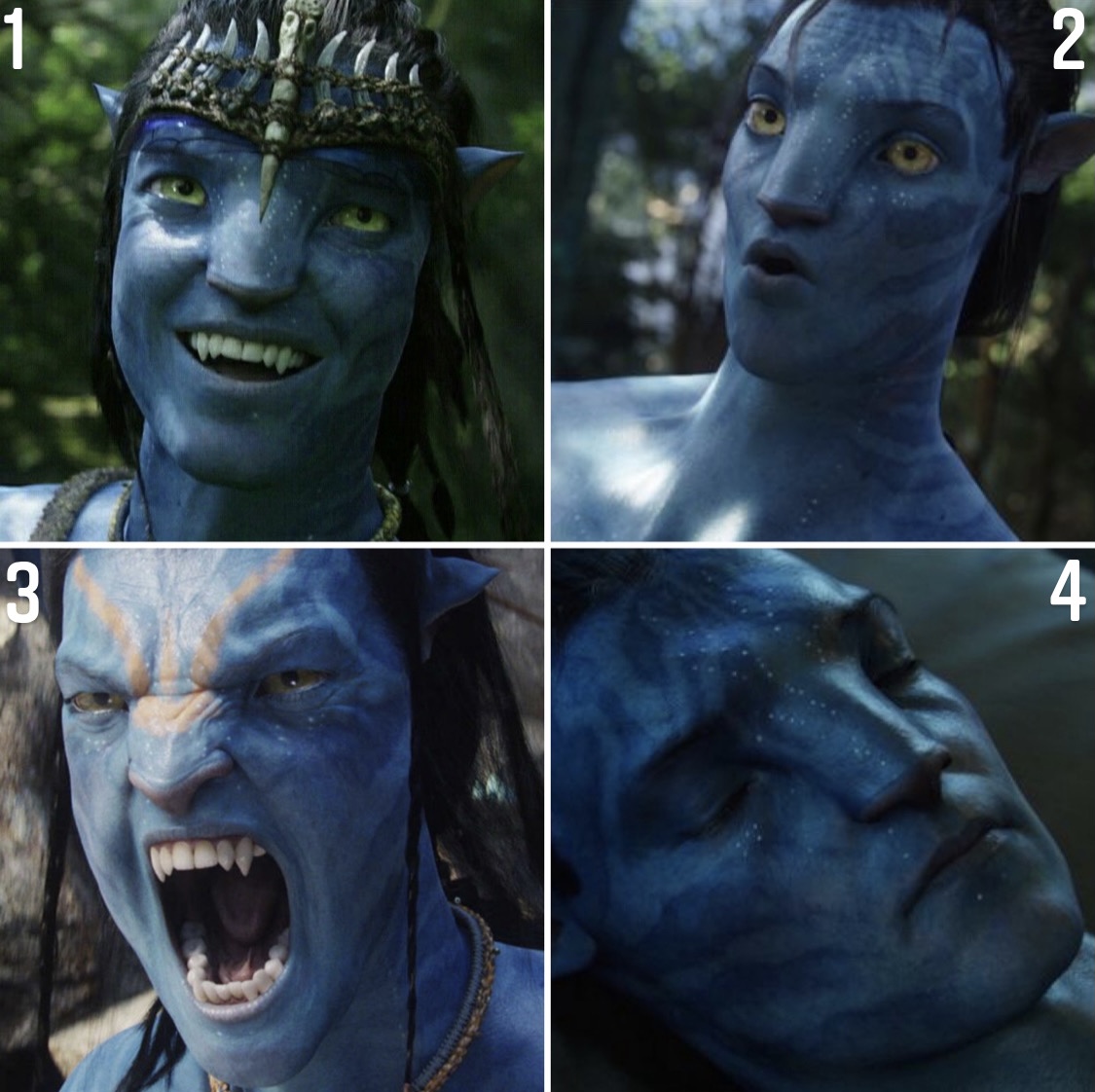 jake sully  Avatar, Avatar movie, Avatar picture