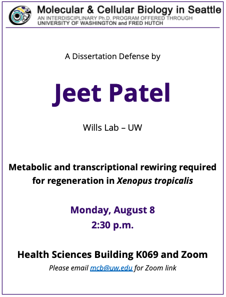 Happening TODAY - <a href="/pateljeet1224/">Jeet Patel</a>'s defense!
Title: Metabolic and transcriptional rewiring required for regeneration in Xenopus tropicalis
Lab: Wills lab (UW)
When: Monday, Aug. 8, 2:30 p.m. PDT
Where: UW Health Sciences Building K069 &amp; Zoom (email mcb@uw.edu for link)
