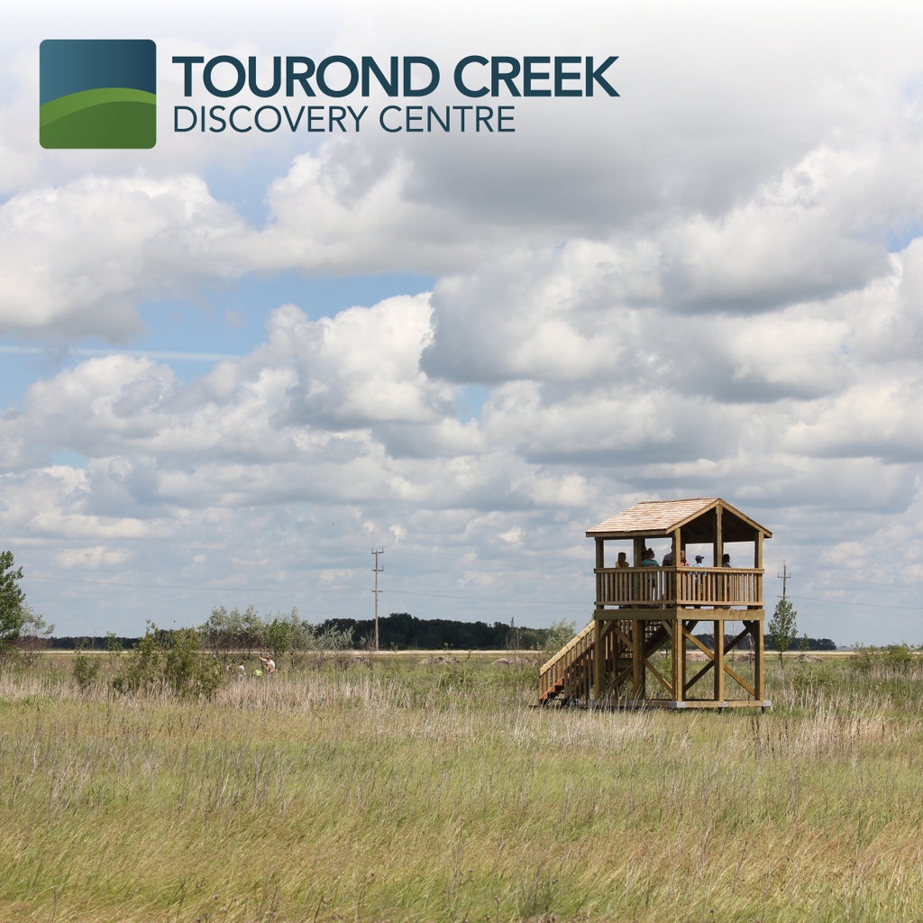 SeineRatRoseau's tweet photo. Tourond Creek Discovery Centre is an amazing area for you to discover, explore, and enjoy! If you haven't been yet, August is a great time to go!
#SRRWD #TCDC #TourondCreek #Nature #WalkingPaths #LookoutTower #Grasslands #Meadows #Creek #Explore #GetOutside #Prairie https://t.co/kvzERDZIpo