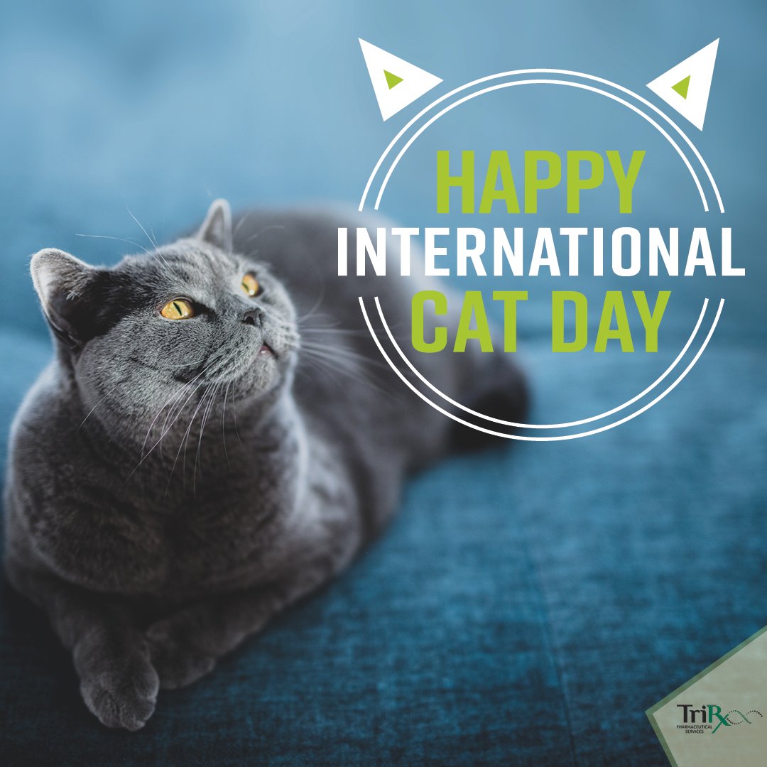 TriRx's tweet photo. International Cat Day is a day to celebrate one of the most common and ancient pets. Cats are independent, inquisitive and adventurous. π
#catday #catsofinstagram #internationalcatday #cats_of_world #trirx #pharma #cdmo https://t.co/HgItTMRIGx