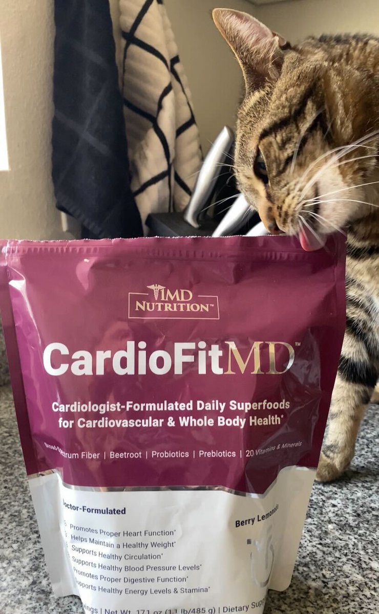 1MDHealth's tweet photo. Happy #InternationalCatDay from our favorite 1MD Nutrition team member, Scoobie! He's a big fan of CardioFitMD, but then again, who isn't? #1MDhealth https://t.co/Qxj8Xlhnd2