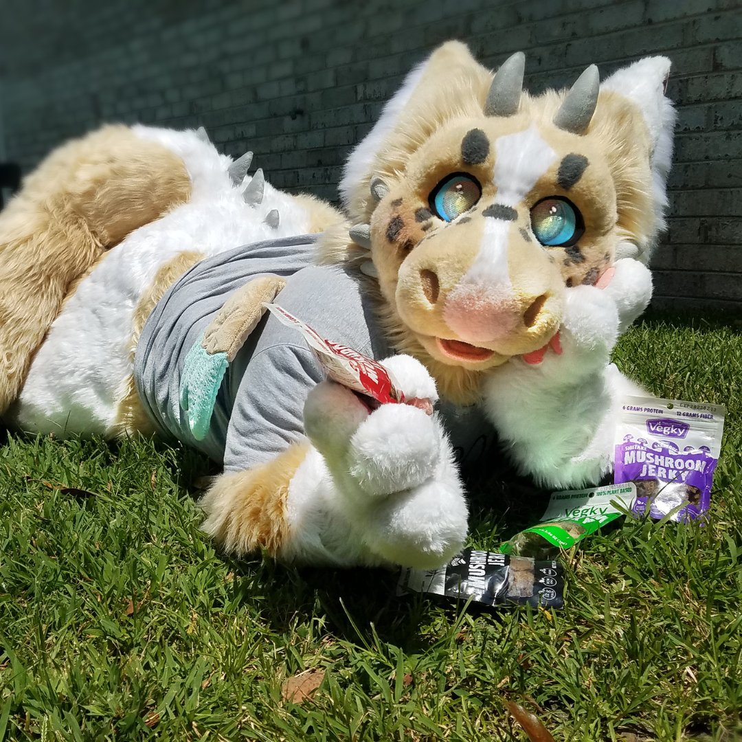 Everyone has a hard time picking their favorite flavor of @vegky1! 
The rules of the contest are simple! If you see our sponsors in the world. Or you keep them at home. Snap a 📸, &amp; upload it👉 bit.ly/3Se8QJW
You could win one of SEVEN prize packs from our sponsors!