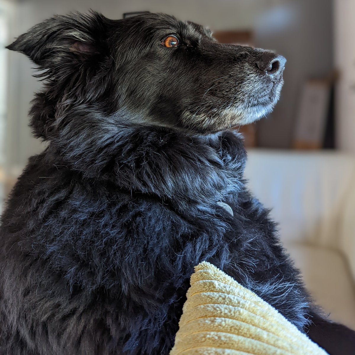 thekatertot tweet media