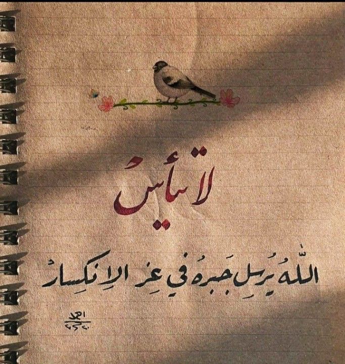 عادل علي بن علي tweet media