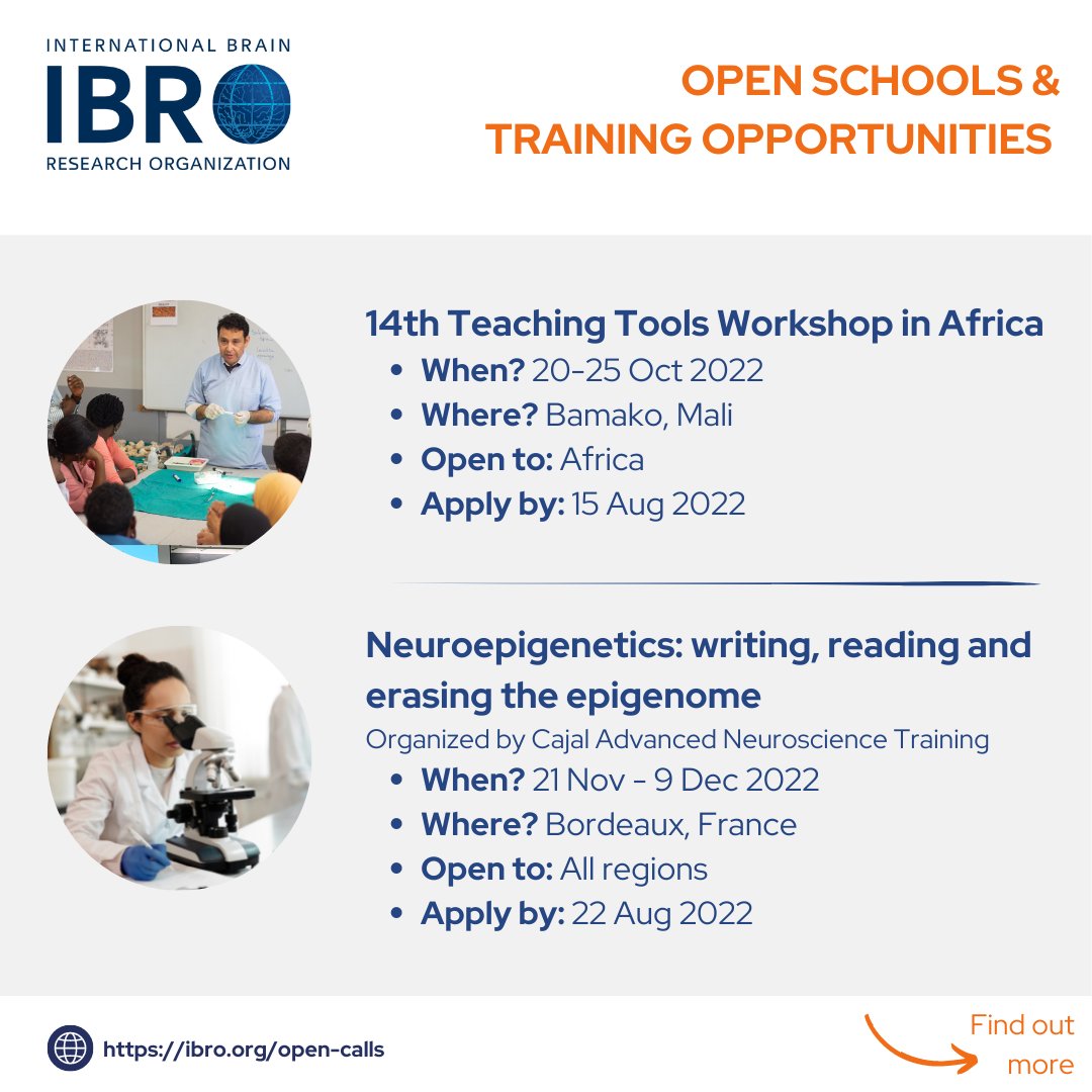 International Brain Research Organization (IBRO) tweet media