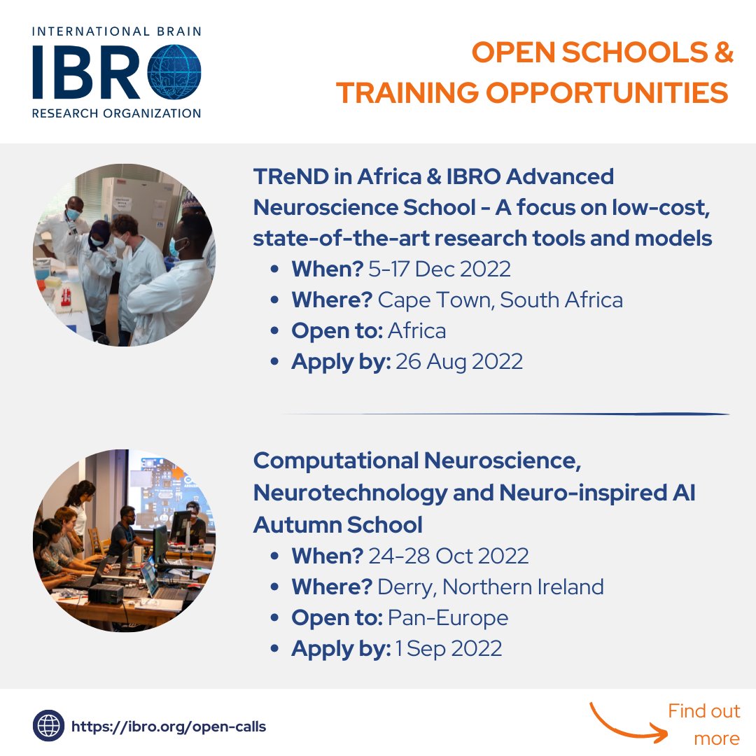 International Brain Research Organization (IBRO) tweet media