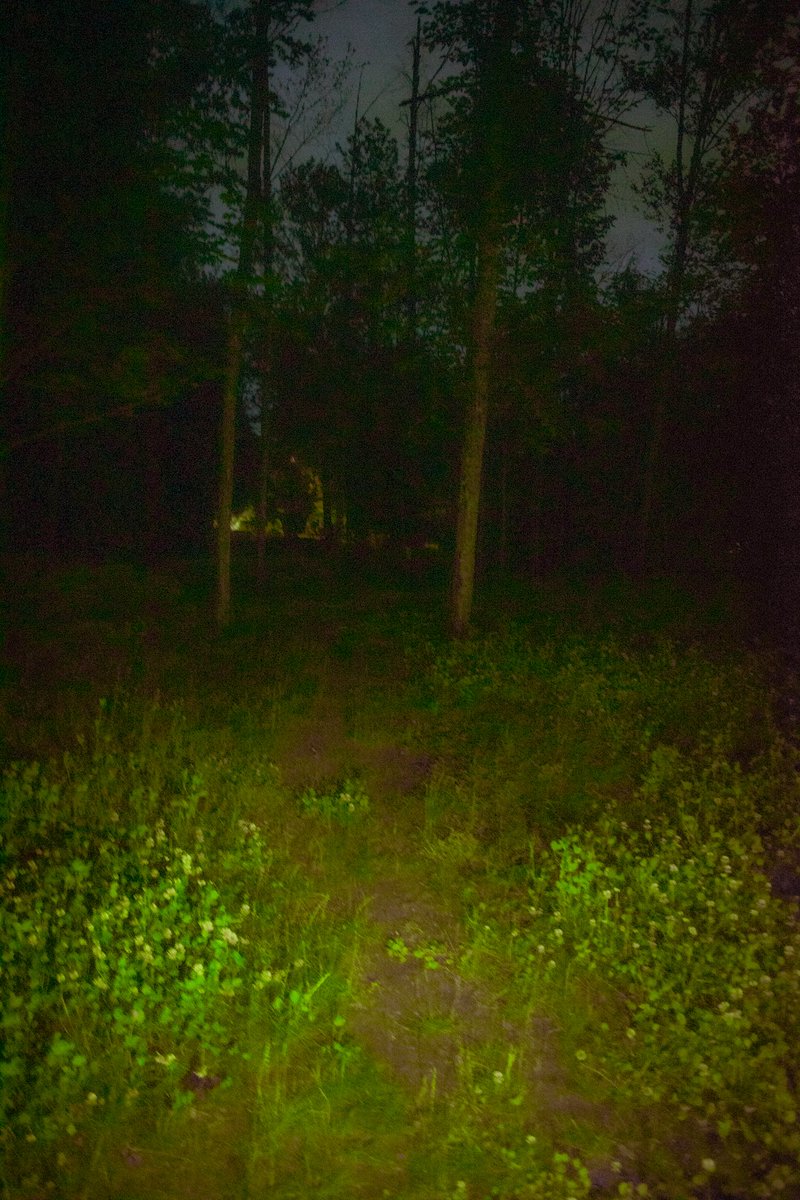 floofyryan's tweet photo. I wanna make a short horror movie so badly ugh https://t.co/5Lhh6tHmG9