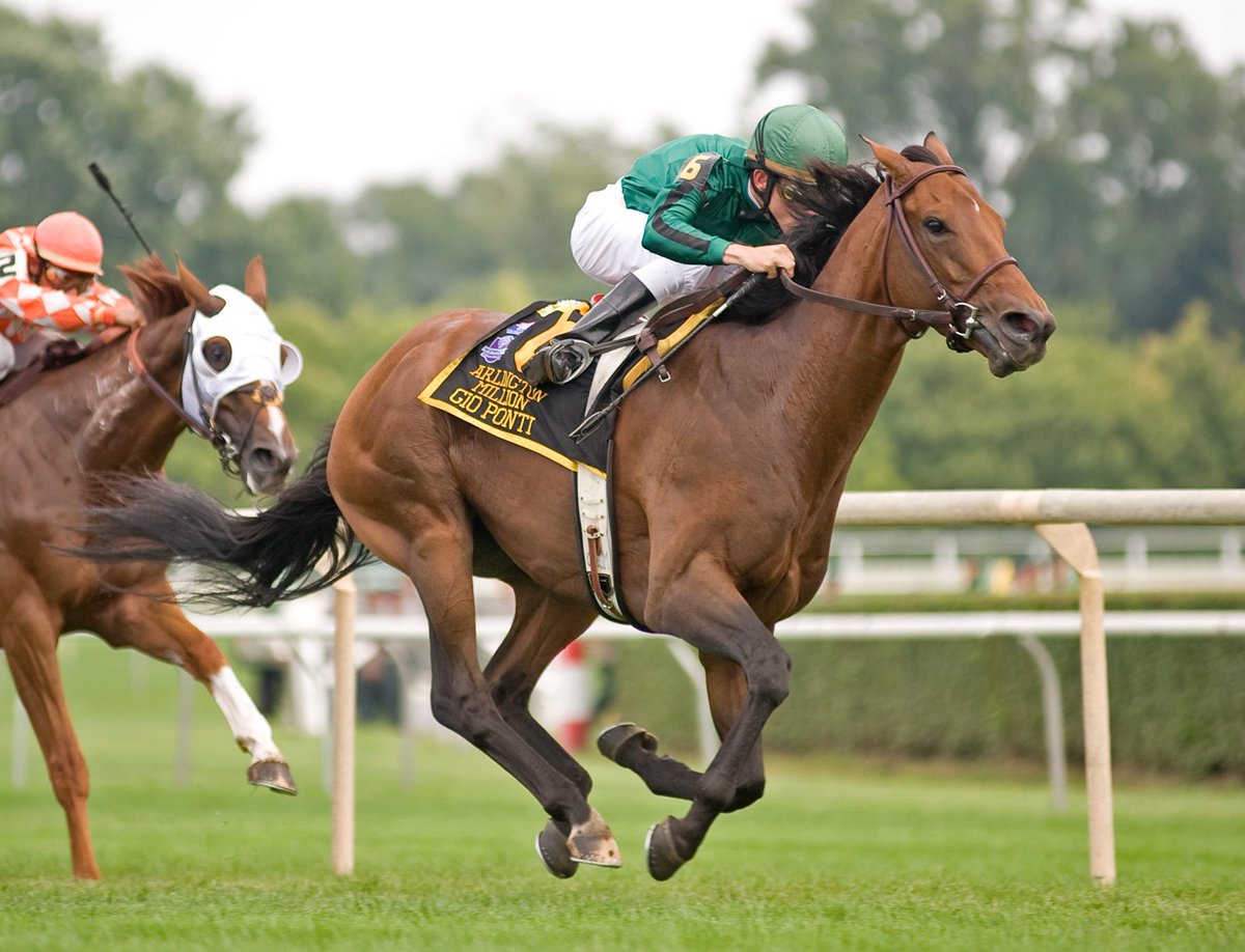 7️⃣ G1 wins, 3️⃣ Eclipse awards, and over $6.1 million in earnings, GIO PONTI solidified himself as a top turf horse after his 2009 win in the Arlington Million. In 2012 he entered stud <a href="/castletonlyons/">Castleton Lyons</a> where he was bred and raised. 

TICKETS 👉 bit.ly/3SepdG8