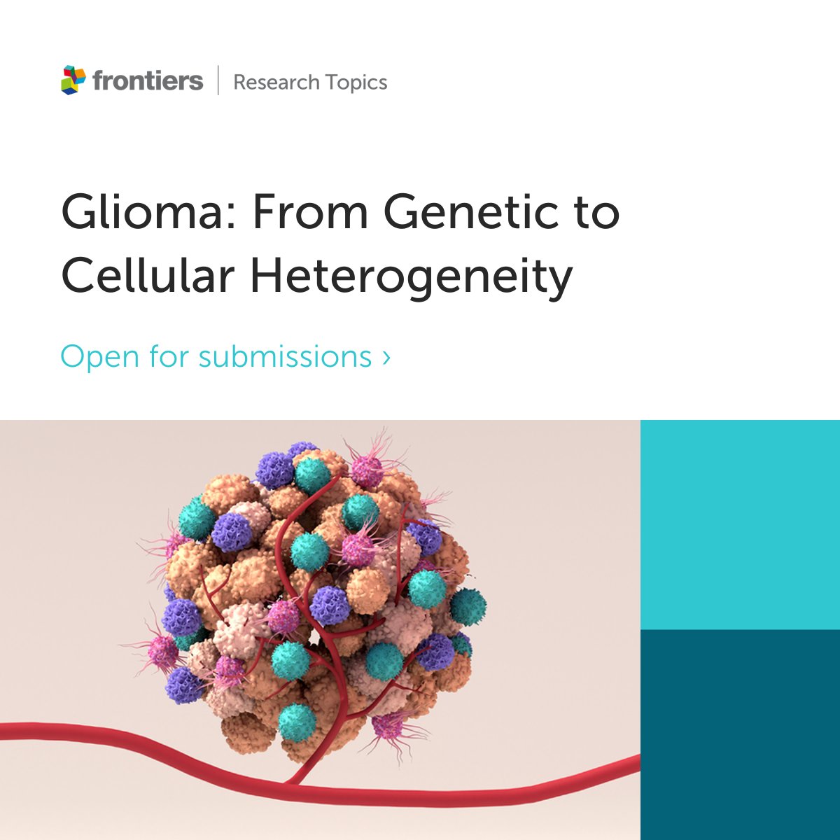 Lucy Stead (@lucyfstead) on Twitter photo LOOK 👀 a special research topic in <a href="/FrontCellDevBio/">Frontiers - Cell Biology</a> on GLIOMA: From Genetic to Cellular Heterogeneity 🧠🧬There's so much exciting research in this area right now. Submit your abstract by 24th Sept✏️ & manuscript by 23rd Nov🖊️More info here 👉
frontiersin.org/research-topic… Pls RT LOOK 👀 a special research topic in <a href="/FrontCellDevBio/">Frontiers - Cell Biology</a> on GLIOMA: From Genetic to Cellular Heterogeneity 🧠🧬There's so much exciting research in this area right now. Submit your abstract by 24th Sept✏️ & manuscript by 23rd Nov🖊️More info here 👉
frontiersin.org/research-topic… Pls RT