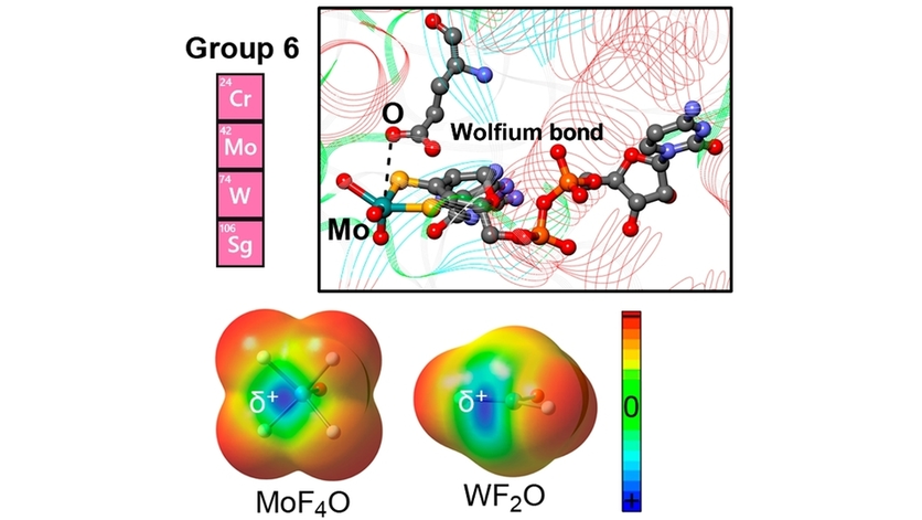 Chemistry (@chemeurj) on Twitter photo Noncovalent Interactions Involving Group 6 in Biological Systems: The Case of Molybdopterin and Tungstopterin Cofactors (Bauza, Frontera et al.) @tonifrontera3 <a href="/tbauza9/">Toni Bauzá</a> #OpenAccess onlinelibrary.wiley.com/doi/10.1002/ch… Noncovalent Interactions Involving Group 6 in Biological Systems: The Case of Molybdopterin and Tungstopterin Cofactors (Bauza, Frontera et al.) @tonifrontera3 <a href="/tbauza9/">Toni Bauzá</a> #OpenAccess onlinelibrary.wiley.com/doi/10.1002/ch…