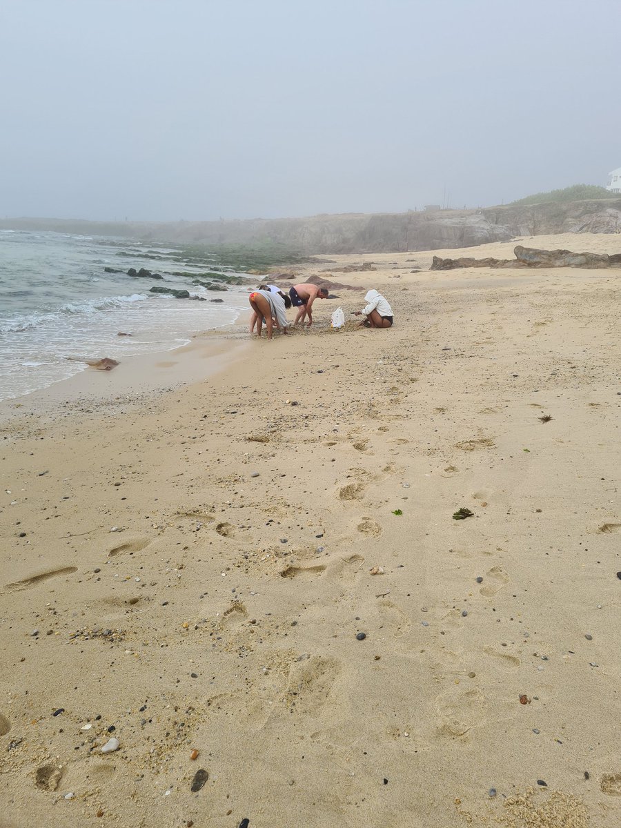 laura_sampe112's tweet photo. Playa de las Furnas .El otro día mi perro cogió una piedra y ya tenia al de Costas de galicia diciéndome que al marchar la dejara... turistas se llevan bolsas de la playa y nadie le dice nada. @Xunta @conportodoson https://t.co/MdOoLx6v3W