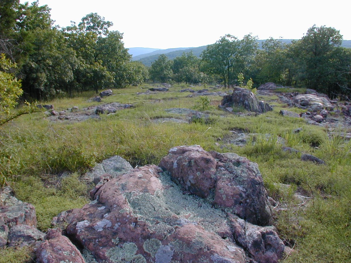 MoDNR's tweet photo. MoDNR has released a new comprehensive report about glades in Missouri. The publication provides insight about glades, where they exist in Missouri, the importance of protecting them and unveils some of their previously unknown attributes. Learn more at https://t.co/d999f3SDkD. https://t.co/RtP3ijzX0U