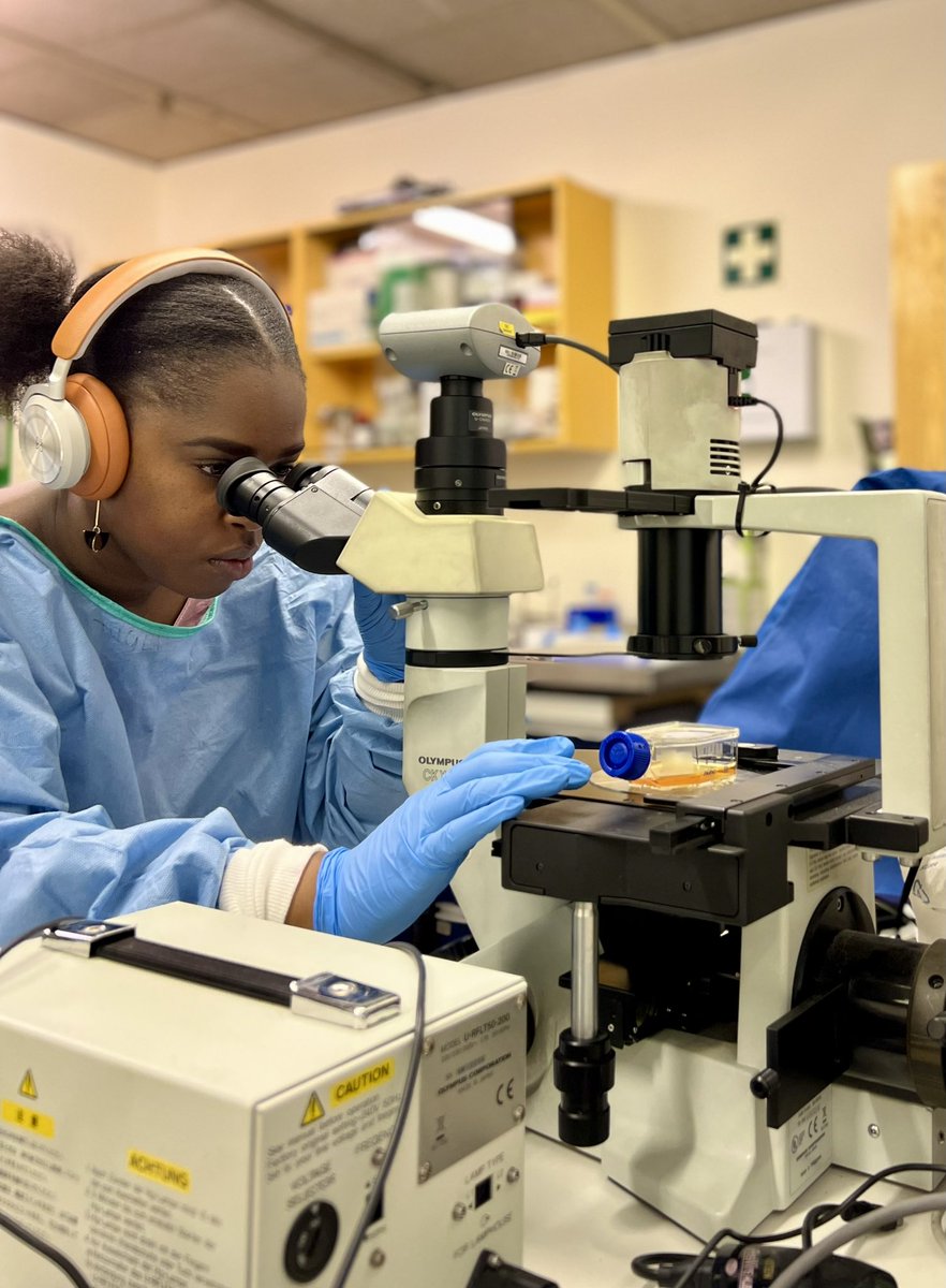 Yep, these cells are confluent 

#stem #phdlife #molecularbiologist #virology #hiv_vaccines #research #biology #immunology