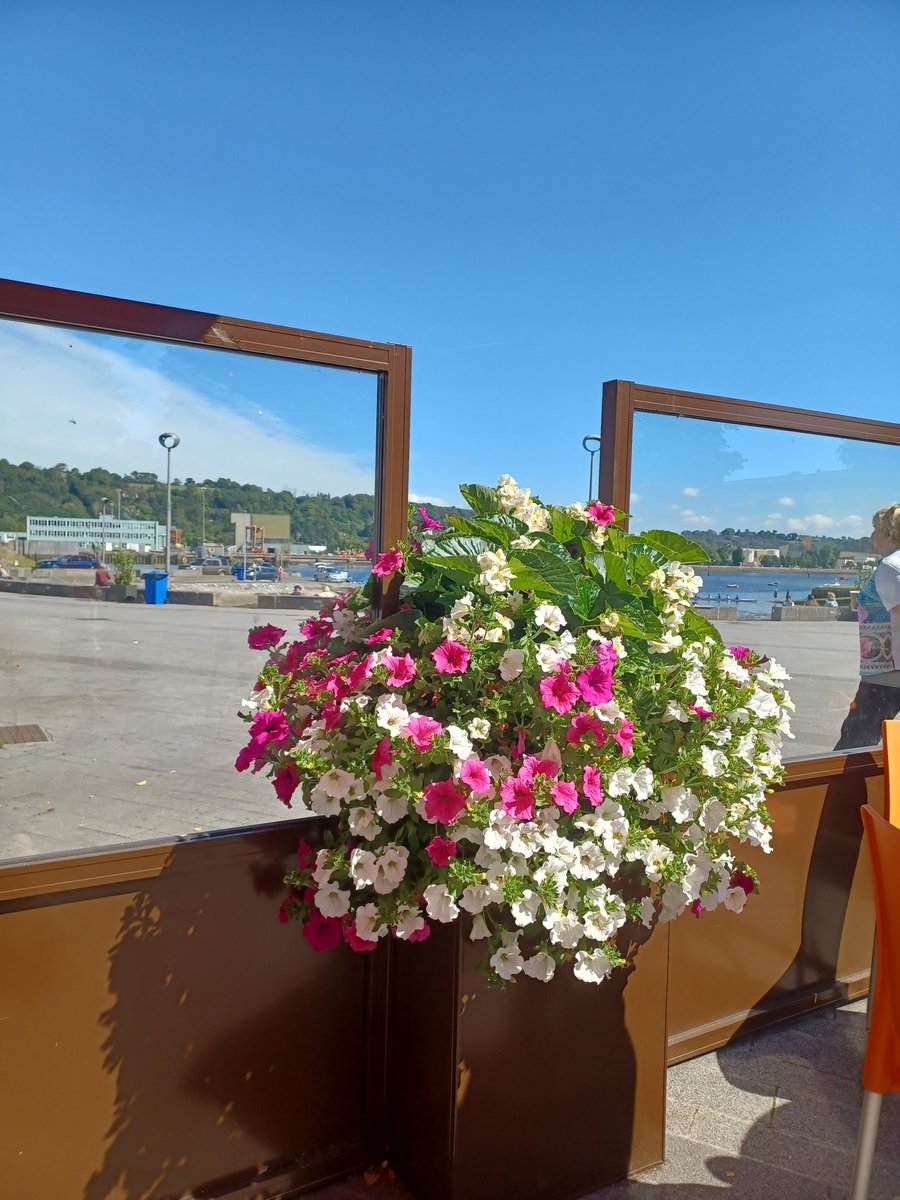 murfymom's tweet photo. Summer sun, cuppas and chats ,blue skies, flowers, beside water #simplepleasures #summer #cuppasandchats #corksummer #grateful https://t.co/4osrX3G8Qn