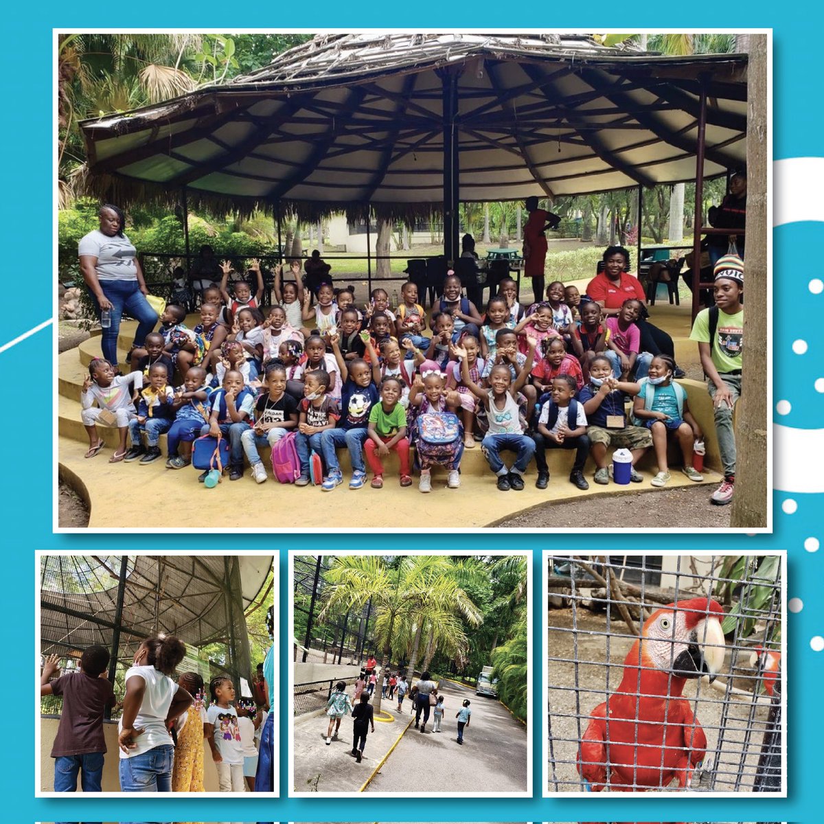 The Gore Family Foundation Summer Camp came to an end with a field trip to <a href="/HopeZooKingston/">Hope Zoo Kingston</a>! The children had a fun, educational experience learning about the animals and thoroughly enjoyed every minute of their visit!

#gorefoundation #hopezoo #summercamp