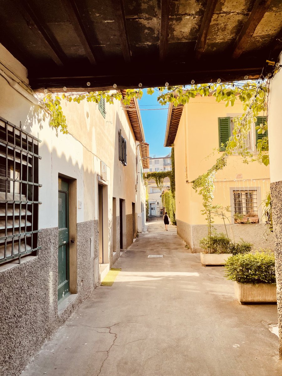 Antonella Radicchi, PhD tweet media