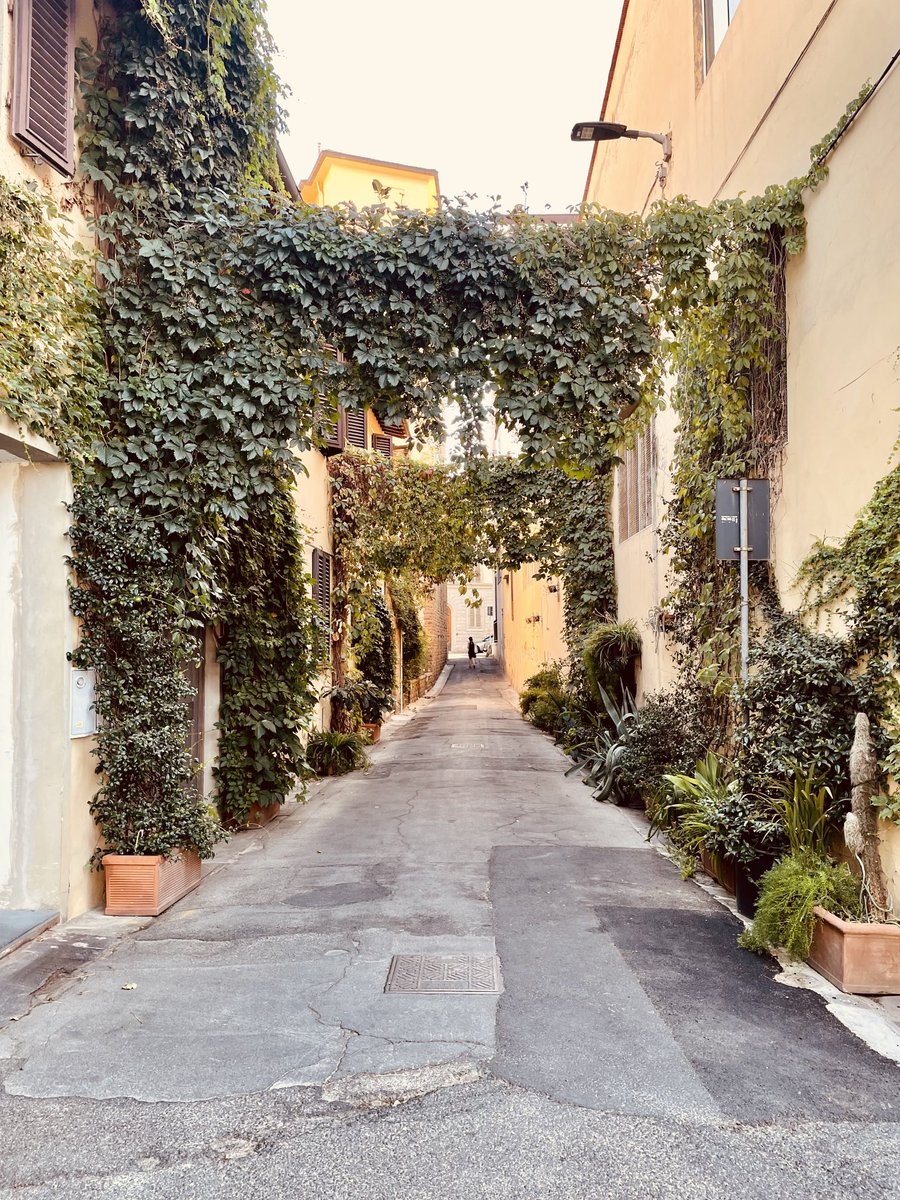 Hidden #quiet and #green alleys spotted on a #drift in #Florence
