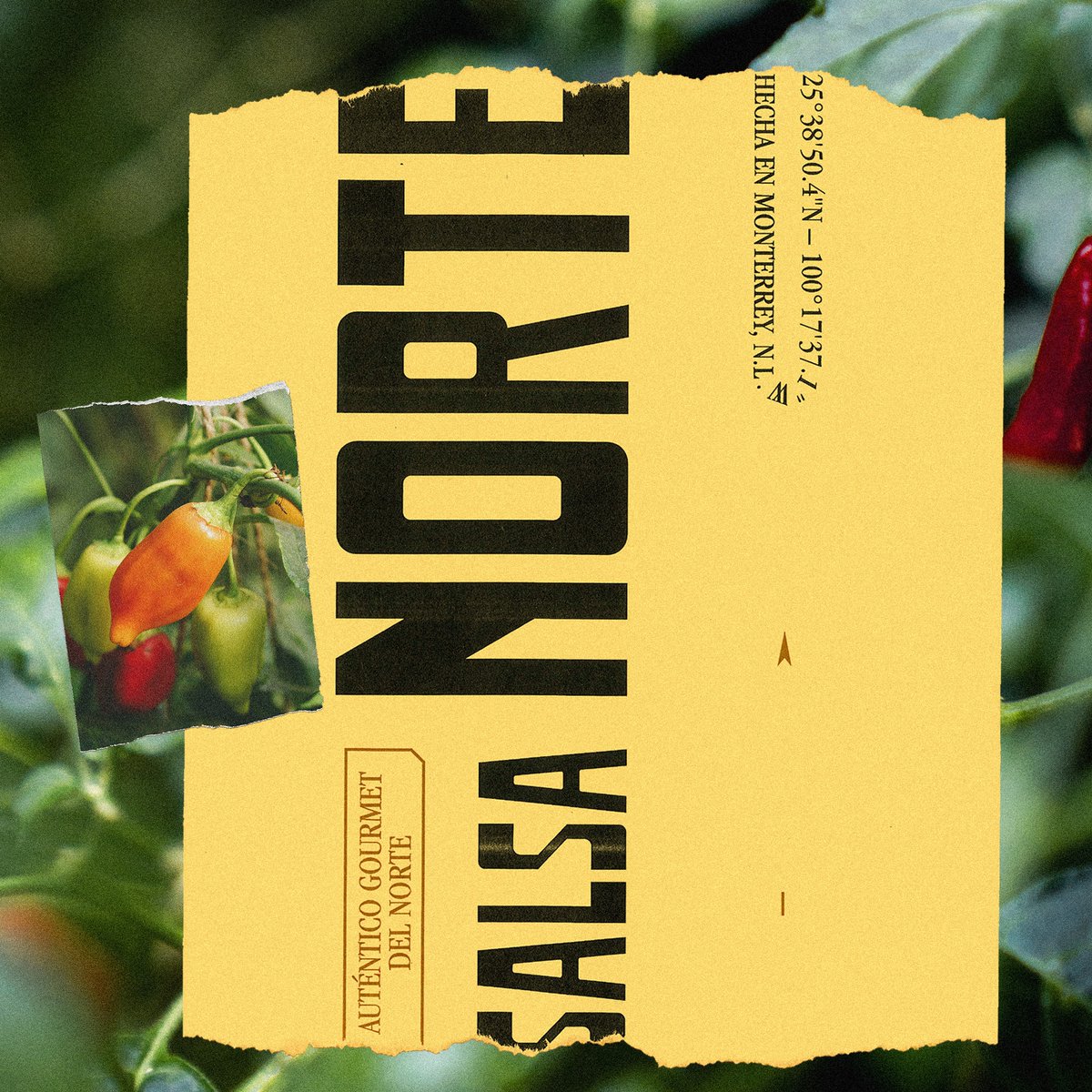 MonumentoCo's tweet photo. Monumento Archives. 
Branding for Salsa Norte, 2019. https://t.co/614f6mKxkz