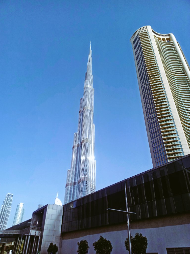TravelPeponi's tweet photo. @BraydenCreation https://t.co/MOZ00ZS4Dw