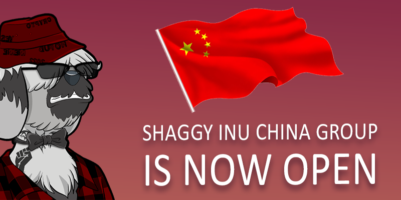 Shaggy Inu tweet media