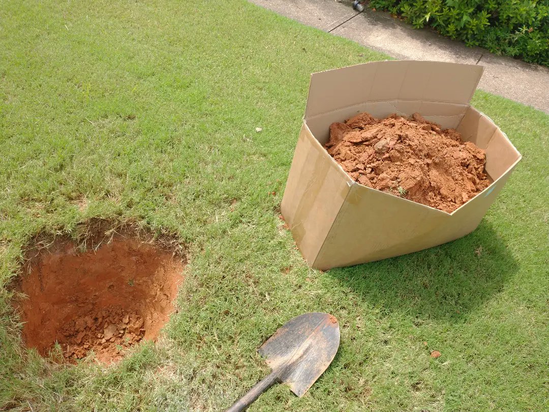 Anna Foard tweet media