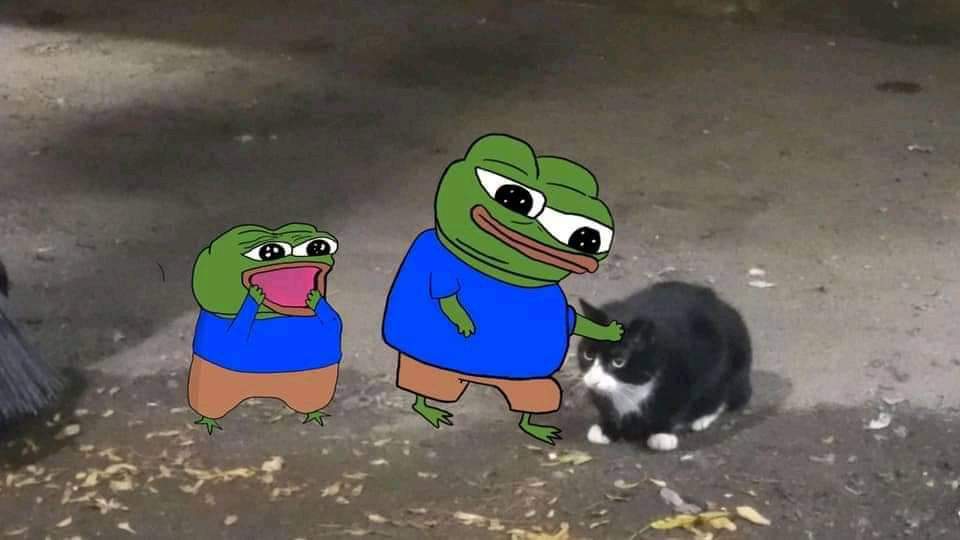 Guarromantico_'s tweet photo. Yo cada vez que veo a un michi. https://t.co/XbiLENpatb