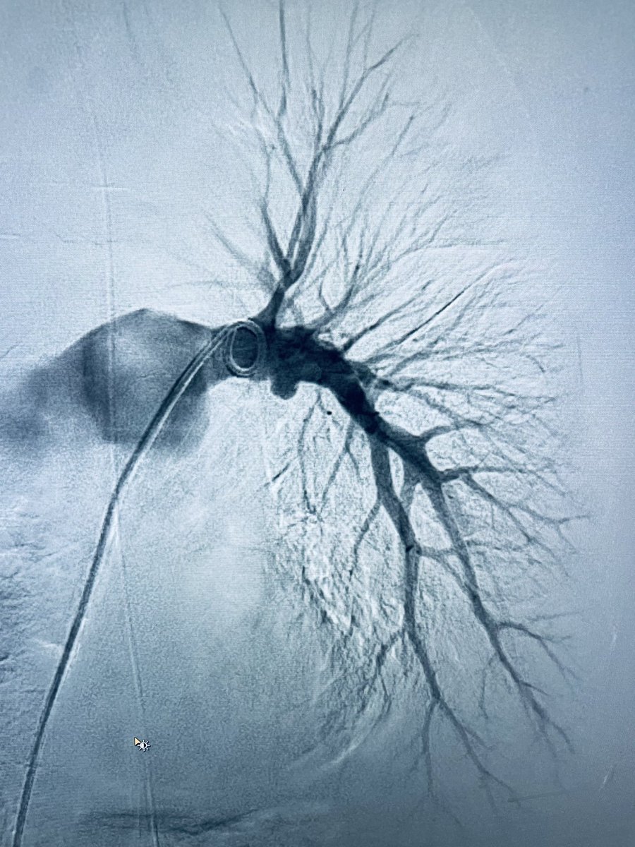 Venkat Tummala MD MBA tweet media