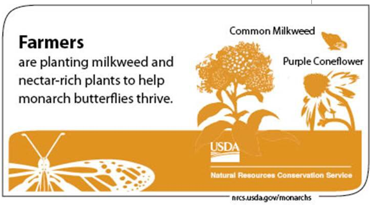USDA_NRCS's tweet photo. Habitat for monarchs can easily be integrated into farms and ranches. 🦋 🦋 🦋 https://t.co/3fz4aayLVE #MonarchMonday https://t.co/v5ZpF00QFn