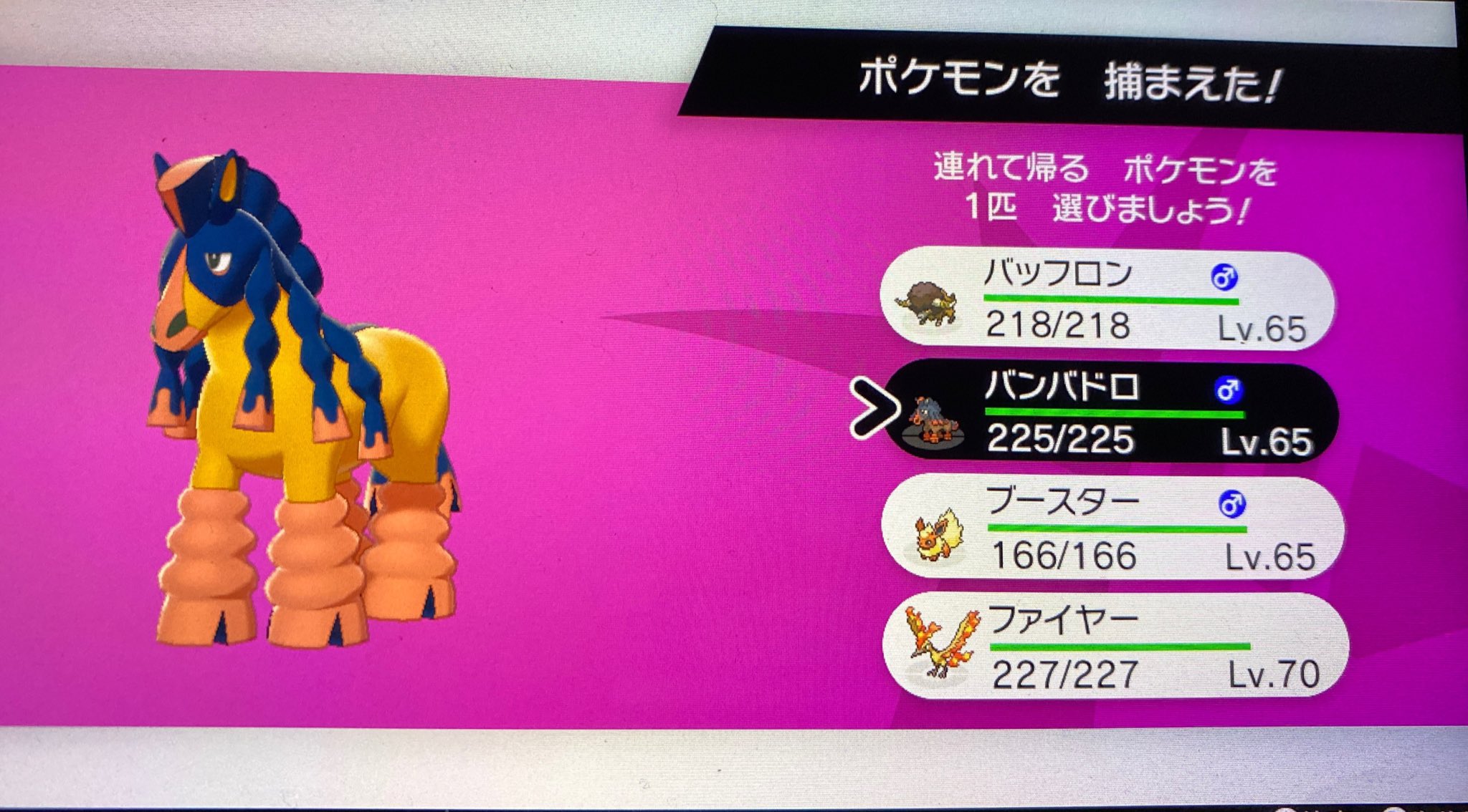 くるー 1回だけダイアドやったらバンバドロ バンバドロの色違いよく出会うんだよなぁ笑 くる色 色違いあ T Co 7ltrvlxkav Twitter