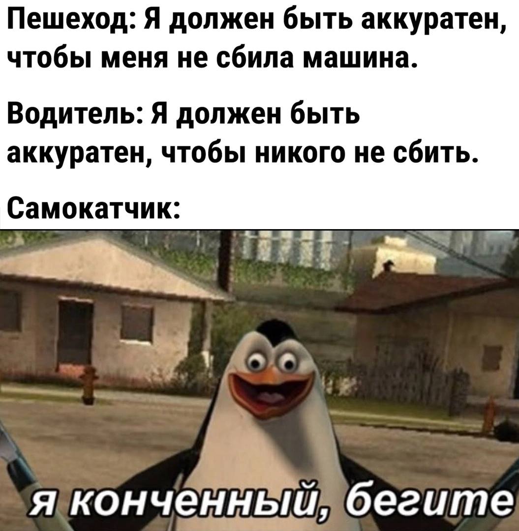 Самокатчики в Петербурге буквально: