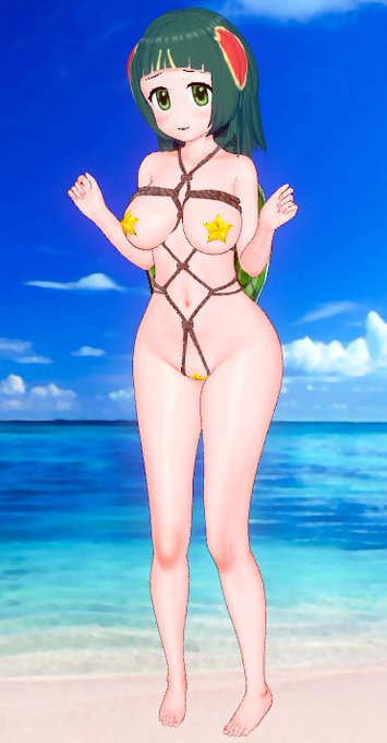 アカミミガメの室内服装を作ってみました。甲羅がついていて、その上にヒトデがついている感じを作るためにロープを巻くと同時に星型ニプレスを付けてくれました。 