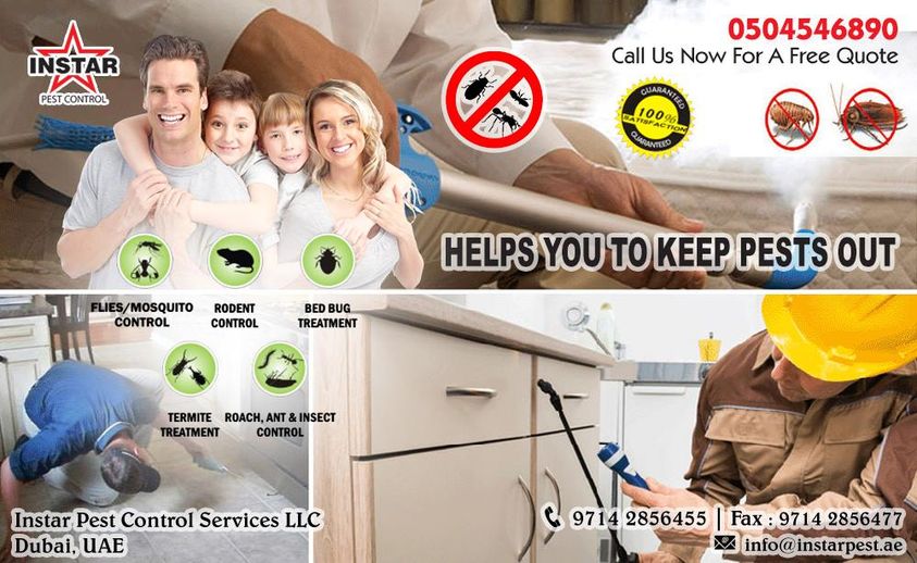 Instarpestllc's tweet photo. We provide complete solutions to a wide variety of pest related issues - https://t.co/4ikJPbxiGx
Get your free quote now : 0504546890
#pest #control #dubai #services #health #safety #environment https://t.co/XThSI0IKFv