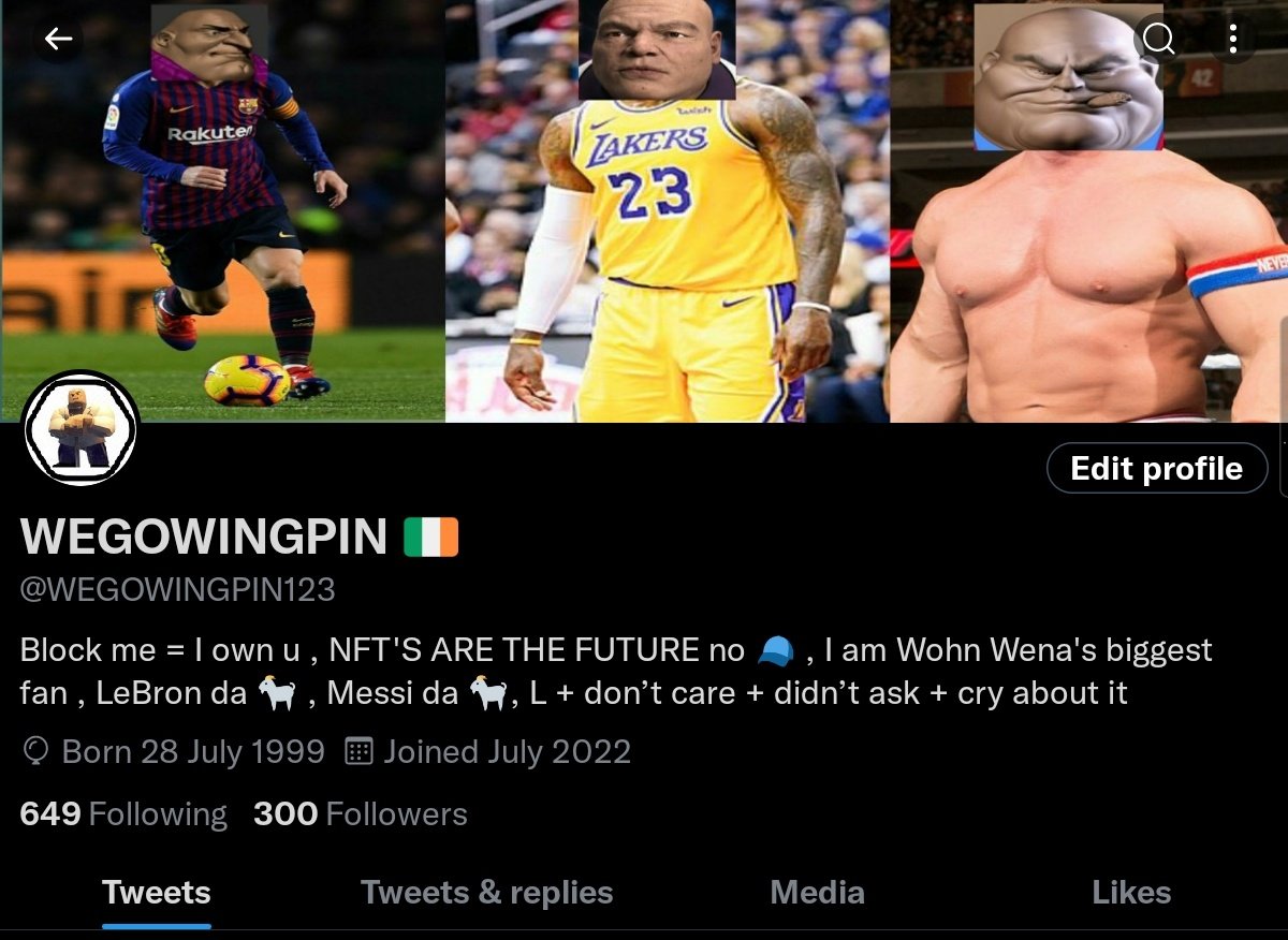 Thank you for 300 followers Woats