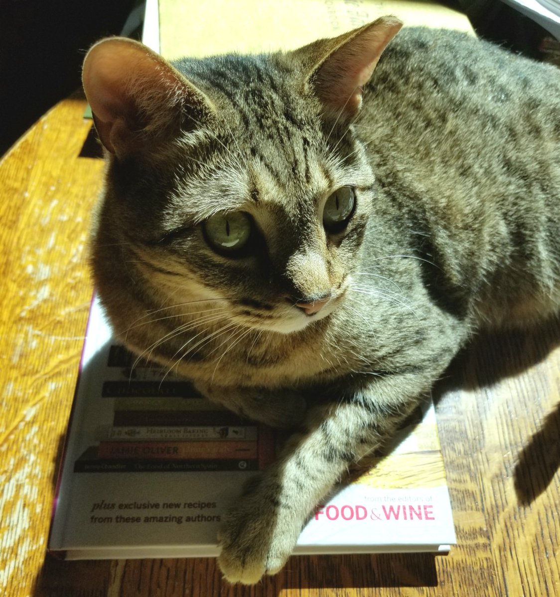 snickarp tweet media