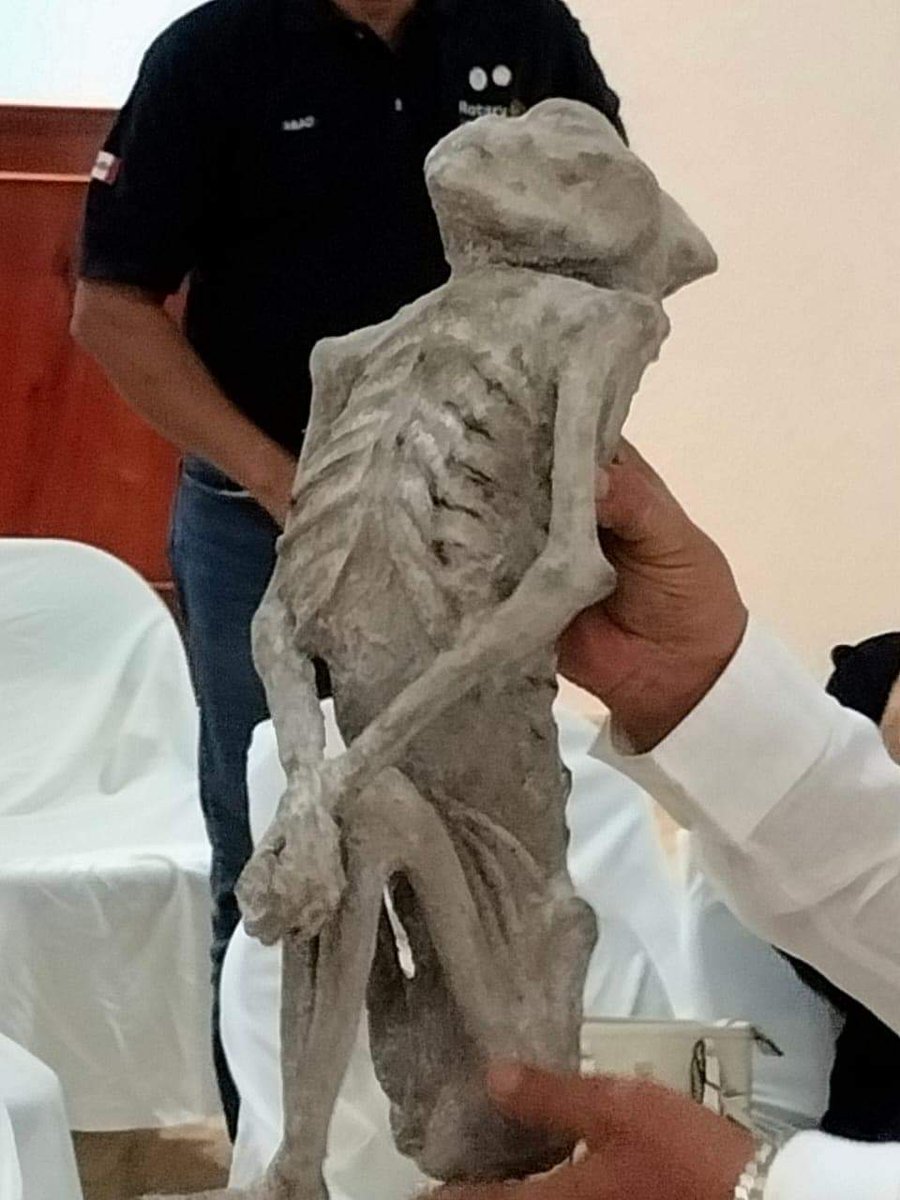 ARTUROSAND79's tweet photo. Presentación del descubrimiento de una cultura no humana en Taxco, Guerrero. El médico militar Pablo presentó una momia petrificada de cuerpo entero y  un cráneo (supuestamente Alienígena).
Se trata de Citlaltemini ( Hermano de las Estrellas) @jaimemaussan1 ahora que dirán?? https://t.co/ojo2s6sb0R
