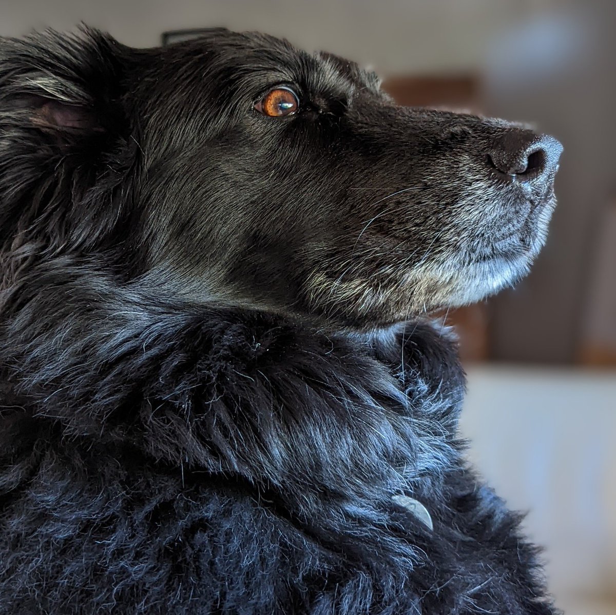 thekatertot tweet media